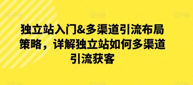 独立站入门&多渠道引流布局策略，详解独立站如何多渠道引流获客九峰网创-分享创业资讯-最新网络创业项目-分享最新赚钱项目九峰网创