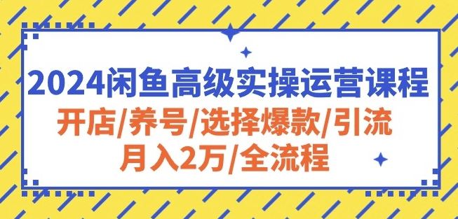 2024闲鱼高级实操运营课程：开店/养号/选择爆款/引流/月入2万/全流程九峰网创-分享创业资讯-最新网络创业项目-分享最新赚钱项目九峰网创