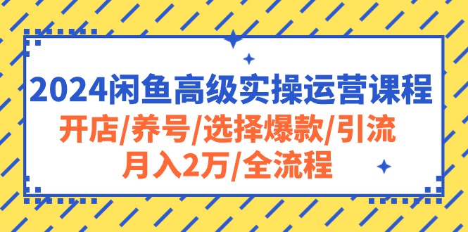 （10711期）2024闲鱼高级实操运营课程：开店/养号/选择爆款/引流/月入2万/全流程九峰网创-分享创业资讯-最新网络创业项目-分享最新赚钱项目九峰网创