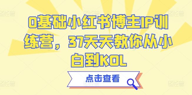 0基础小红书博主IP训练营，37天天教你从小白到KOL九峰网创-分享创业资讯-最新网络创业项目-分享最新赚钱项目九峰网创