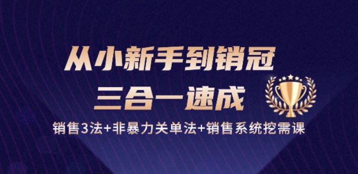 从小新手到销冠 三合一速成：销售3法+非暴力关单法+销售系统挖需课 (27节)九峰网创-分享创业资讯-最新网络创业项目-分享最新赚钱项目九峰网创