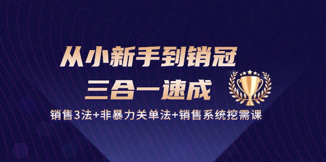 从小新手到销冠三合一速成：销售3法+非暴力关单法+销售系统挖需课 (27节)九峰网创-分享创业资讯-最新网络创业项目-分享最新赚钱项目九峰网创