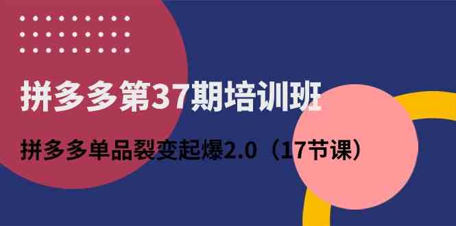 拼多多第37期培训班：拼多多单品裂变起爆2.0（17节课）九峰网创-分享创业资讯-最新网络创业项目-分享最新赚钱项目九峰网创