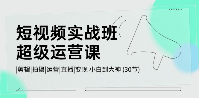 短视频实战班超级运营课 |剪辑|拍摄|运营|直播|变现 小白到大神 (30节)九峰网创-分享创业资讯-最新网络创业项目-分享最新赚钱项目九峰网创