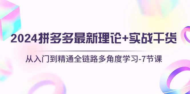 （10816期）2024拼多多 最新理论+实战干货，从入门到精通全链路多角度学习-7节课九峰网创-分享创业资讯-最新网络创业项目-分享最新赚钱项目九峰网创