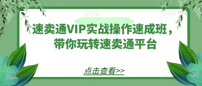 速卖通VIP实战操作速成班，带你玩转速卖通平台九峰网创-分享创业资讯-最新网络创业项目-分享最新赚钱项目九峰网创