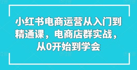 小红书电商运营从入门到精通课，电商店群实战，从0开始到学会九峰网创-分享创业资讯-最新网络创业项目-分享最新赚钱项目九峰网创