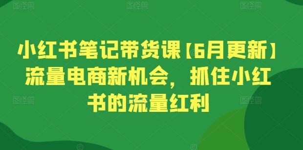 小红书笔记带货课【6月更新】流量电商新机会，抓住小红书的流量红利九峰网创-分享创业资讯-最新网络创业项目-分享最新赚钱项目九峰网创