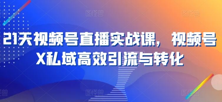 21天视频号直播实战课，视频号X私域高效引流与转化九峰网创-分享创业资讯-最新网络创业项目-分享最新赚钱项目九峰网创