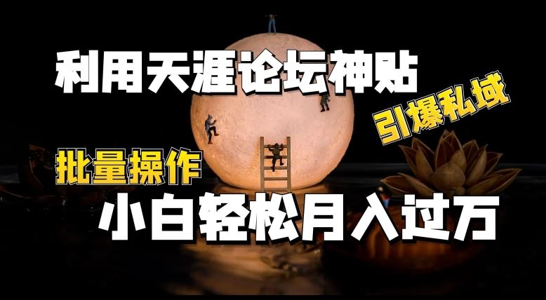 利用天涯论坛神贴，引爆私域，批量操作，小白轻松月入过w【揭秘】九峰网创-分享创业资讯-最新网络创业项目-分享最新赚钱项目九峰网创