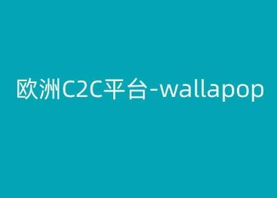欧洲C2C平台-wallapop-kim跨境电商教程九峰网创-分享创业资讯-最新网络创业项目-分享最新赚钱项目九峰网创