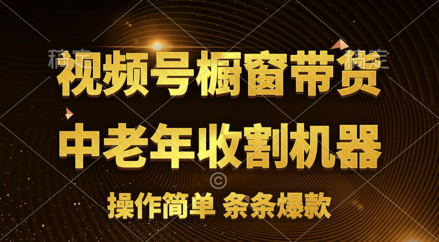 （11009期）[你的孩子成功取得高位]视频号最火爆赛道，橱窗带货，流量分成计划，条…九峰网创-分享创业资讯-最新网络创业项目-分享最新赚钱项目九峰网创