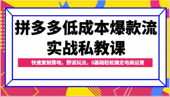 拼多多低成本爆款流实战私教课，快速复制落地，野派玩法，0基础轻松搞定电商运营九峰网创-分享创业资讯-最新网络创业项目-分享最新赚钱项目九峰网创