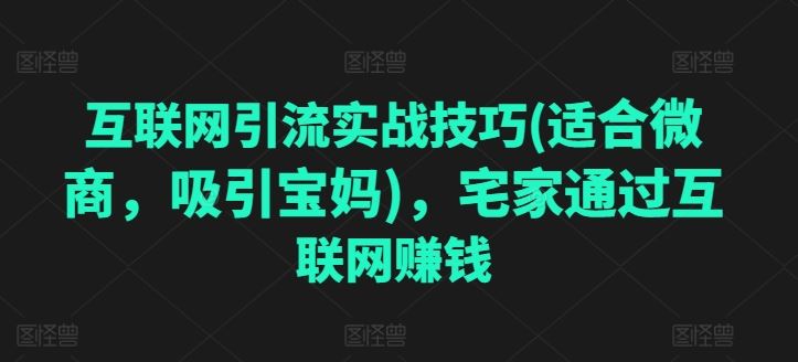 互联网引流实战技巧(适合微商，吸引宝妈)，宅家通过互联网赚钱九峰网创-分享创业资讯-最新网络创业项目-分享最新赚钱项目九峰网创
