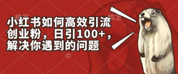 小红书如何高效引流创业粉，日引100+，解决你遇到的问题【揭秘】九峰网创-分享创业资讯-最新网络创业项目-分享最新赚钱项目九峰网创