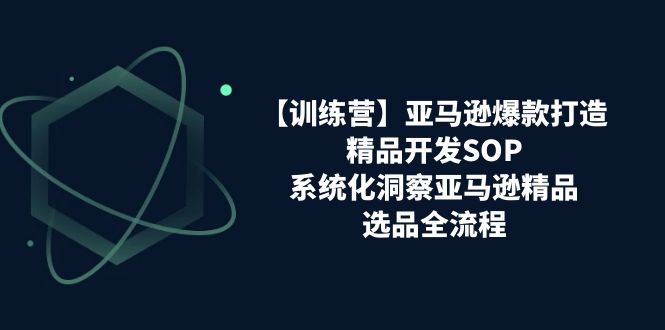 （11210期）【训练营】亚马逊爆款打造之精品开发SOP，系统化洞察亚马逊精品选品全流程九峰网创-分享创业资讯-最新网络创业项目-分享最新赚钱项目九峰网创