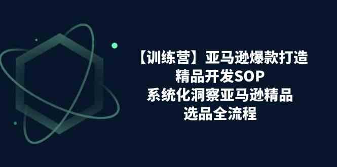 亚马逊爆款打造之精品开发SOP【训练营】，系统化洞察亚马逊精品选品全流程九峰网创-分享创业资讯-最新网络创业项目-分享最新赚钱项目九峰网创