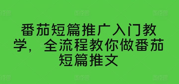 番茄短篇推广入门教学，全流程教你做番茄短篇推文九峰网创-分享创业资讯-最新网络创业项目-分享最新赚钱项目九峰网创