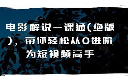 电影解说一课通(绝版)，带你轻松从0进阶为短视频高手九峰网创-分享创业资讯-最新网络创业项目-分享最新赚钱项目九峰网创