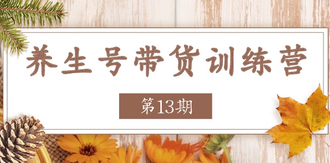 养生号带货训练营【第13期】收益更稳定的玩法，让你带货收益爆炸九峰网创-分享创业资讯-最新网络创业项目-分享最新赚钱项目九峰网创