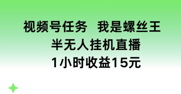视频号任务，我是螺丝王， 半无人挂机1小时收益15元【揭秘】九峰网创-分享创业资讯-最新网络创业项目-分享最新赚钱项目九峰网创