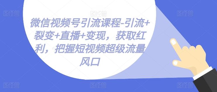 微信视频号引流课程-引流+裂变+直播+变现，获取红利，把握短视频超级流量风口九峰网创-分享创业资讯-最新网络创业项目-分享最新赚钱项目九峰网创
