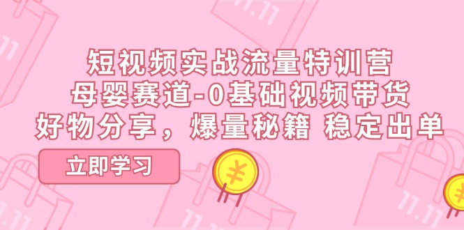 （11373期）短视频实战流量特训营，母婴赛道-0基础带货，好物分享，爆量秘籍 稳定出单九峰网创-分享创业资讯-最新网络创业项目-分享最新赚钱项目九峰网创